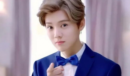 鹿晗爆料吃瓜事件视频全集,吃瓜事件视频全集深度解析